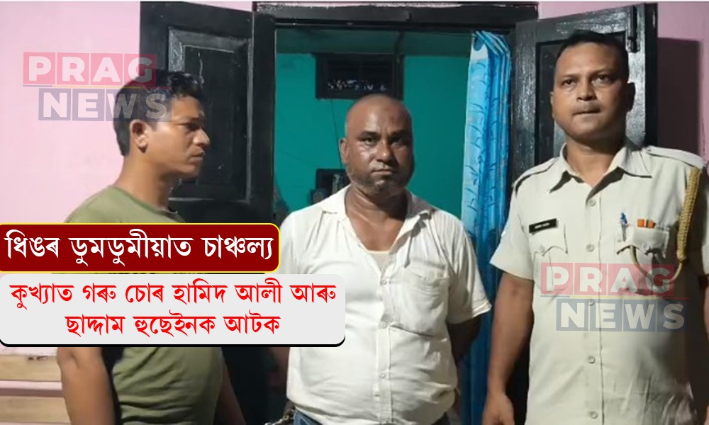 ধিঙৰ ডুমডুমীয়াত কুখ্যাত গৰু চোৰ হামিদ আলী আৰু ছাদ্দাম হুছেইনক আটক