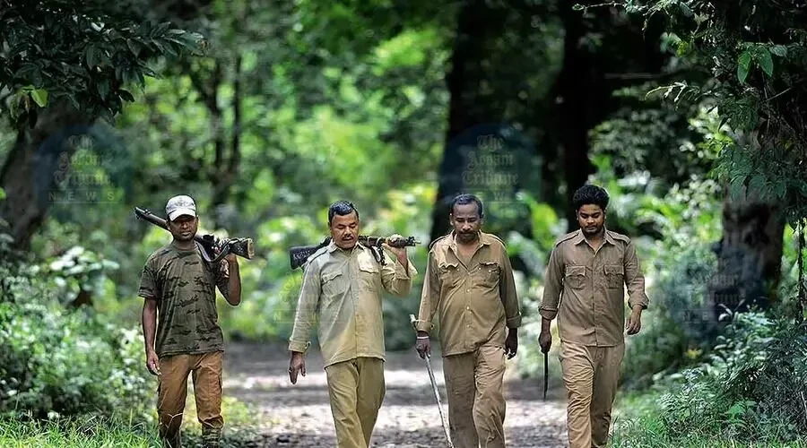 পৰিৱেশ সম্পৰ্কীয় অপৰাধত অসমত উল্লেখনীয় হ্ৰাস: কেন্দ্ৰীয় তথ্যত প্ৰকাশ