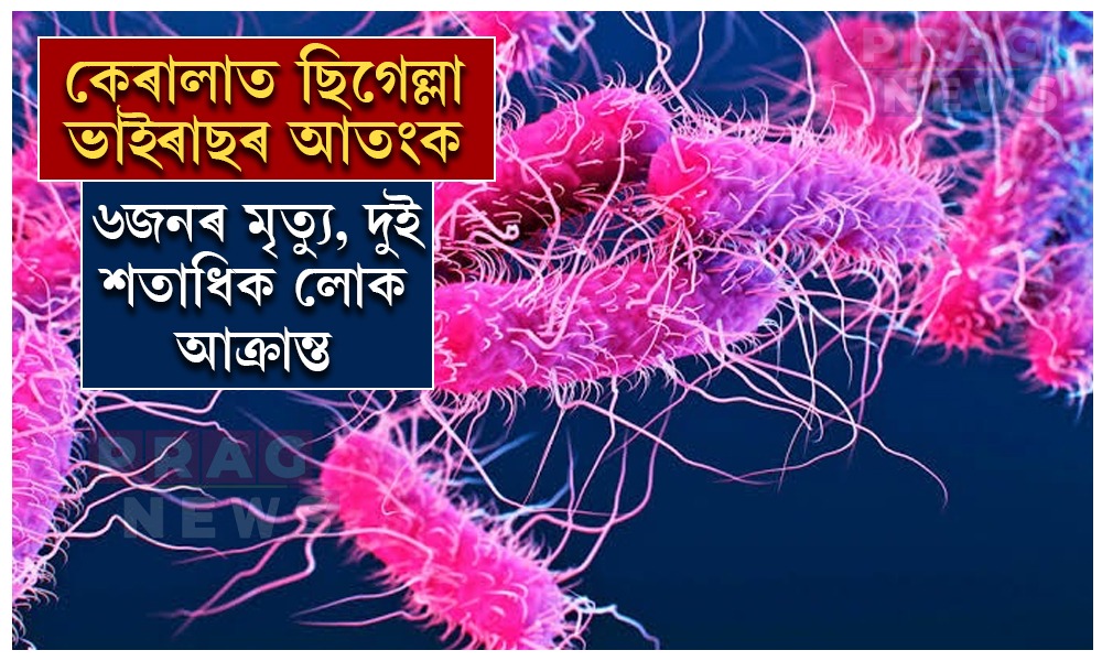 কেৰালাত ছিগেল্লা ভাইৰাছৰ আতংক; ৬জনৰ মৃত্যু, দুই শতাধিক লোক আক্ৰান্ত