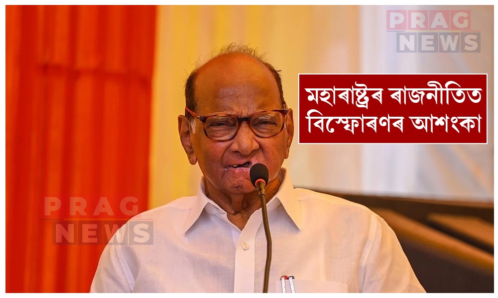 শাৰদপন্থী এন চি পিৰ ৫ সাংসদ শীঘ্রেই বিজেপিলৈ! মহাৰাষ্ট্ৰৰ ৰাজনীতিত বিস্ফোৰণৰ আশংকা