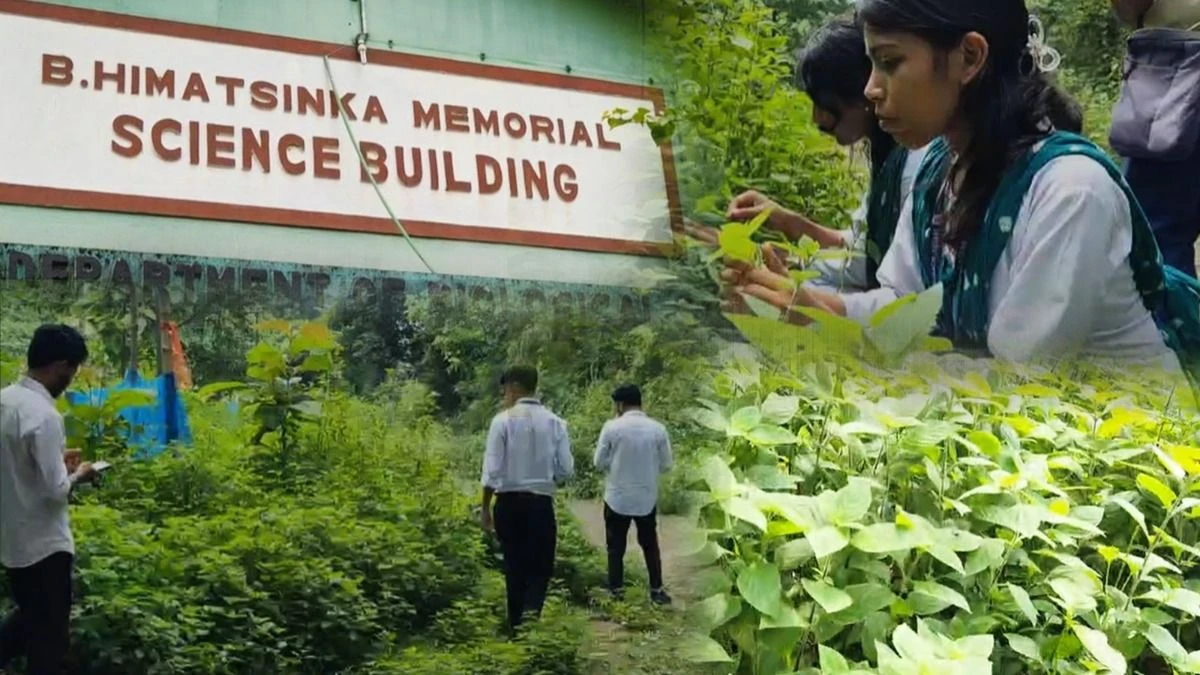 Assam: Kaliabor College Students Achieve First Regional Record of Salvia misella