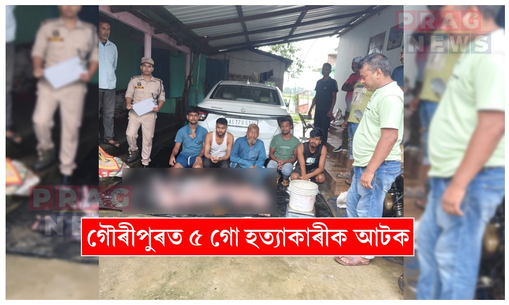 গৌৰীপুৰত নিষিদ্ধ গো-মাংসৰ চোৰাং ব্যৱসায়; ৫জন আটক, ৬৬ কেজি মাংস জব্দ