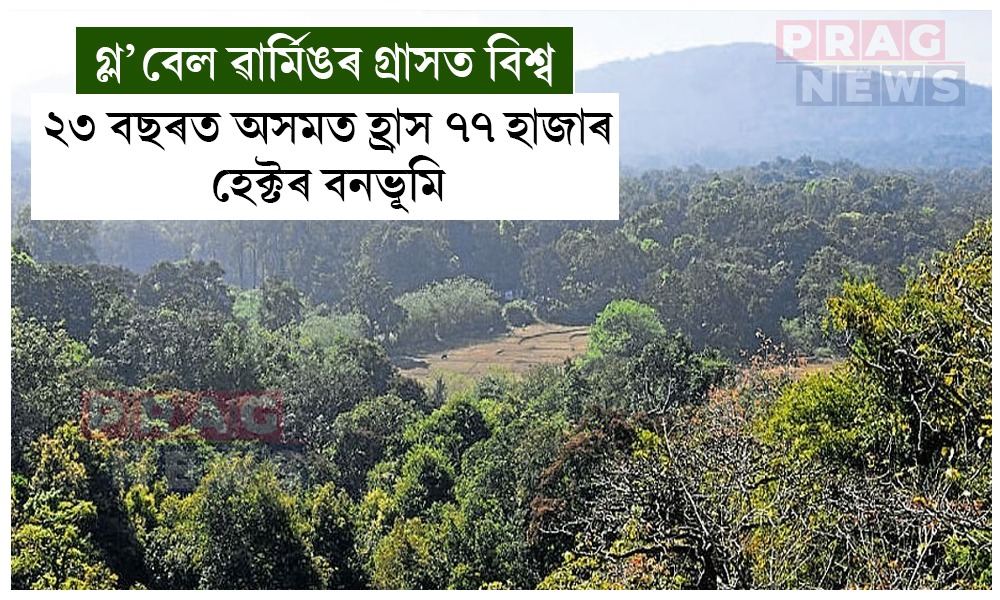 গ্ল’বেল ৱাৰ্মিঙৰ ফলত ২৩ বছৰত অসমত হ্রাস ৭৭ হাজাৰ হেক্টৰ বনভূমি