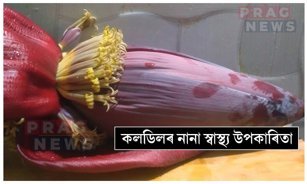 কলডিলৰ আছে নানা স্বাস্থ্য উপকাৰিতা; জানিলে অবাক হ’ব আপুনি