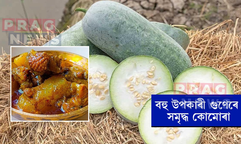 অতি উপকাৰী পাচলি কোমোৰা; গুণাগুণসমূহ জানো আহক