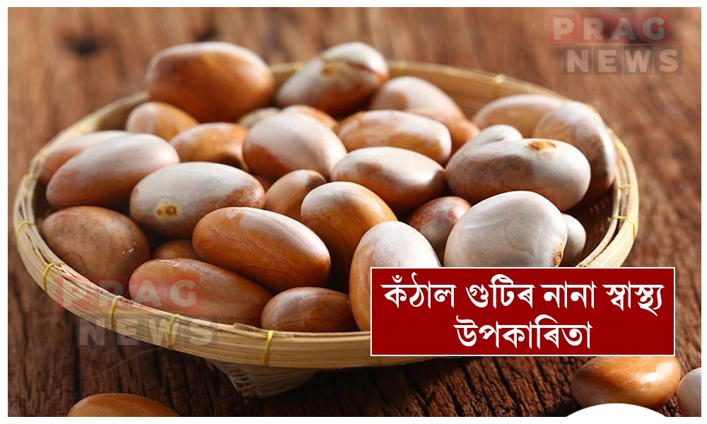 কঁঠাল গুটিৰ আছে নানা স্বাস্থ্য উপকাৰী গুণ; নোখোৱাকৈ নাথাকিব