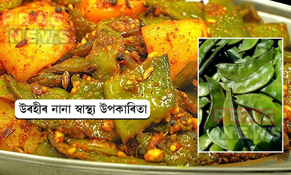 উৰহীৰ নানা উপকাৰী গুণৰ বিষয়ে আপুনি জানেনে?