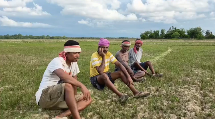 Drought-Hit Sarupathar Farmers Blame Non-Functional Irrigation as Crops Wither