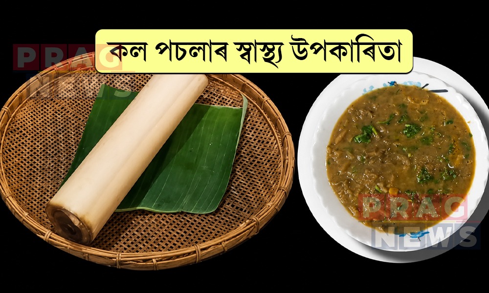 কল পচলাৰ আছে নানা গুণ; আপুনি খাই ভালপায়নে?
