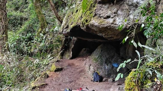 Bongaigaon Gripped by Mystery After Esteemed Cultural Activist Found Dead in Pond