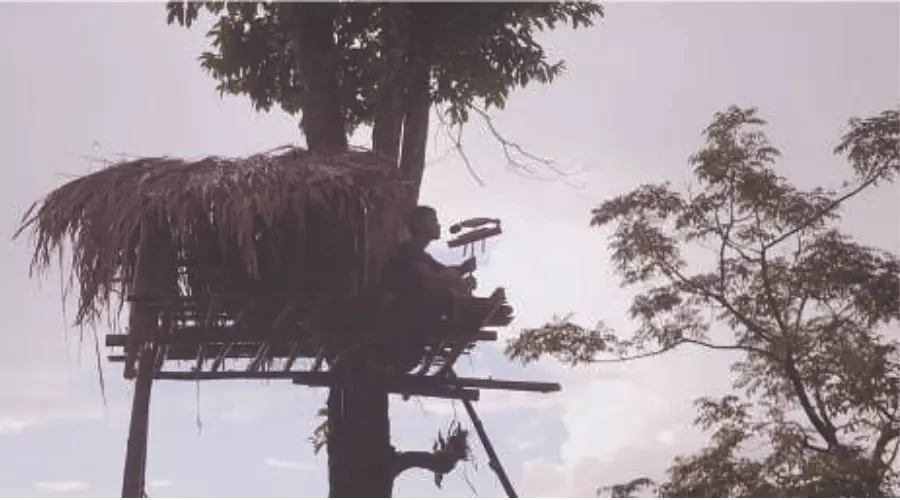 টিৱা ছবি 'ছিৱ-ফ্রান'ৰ ৰাষ্ট্ৰীয় আৰু আন্তঃৰাষ্ট্ৰীয় মঞ্চত ব্যাপক প্ৰশংসা