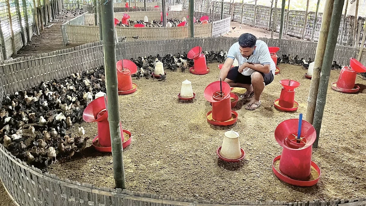 CM Sarma's Call for Egg Production Ignites Entrepreneurial Spirit Among Bajali Youth