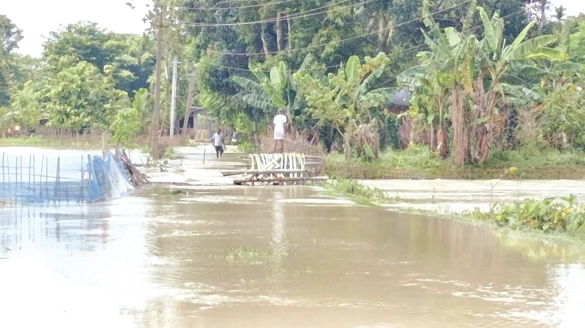 জাগীৰোডত কৃত্ৰিম বানৰ তাণ্ডৱ: ব্যাপক ক্ষতিগ্ৰস্ত ঘৰ-দুৱাৰ আৰু বজাৰ
