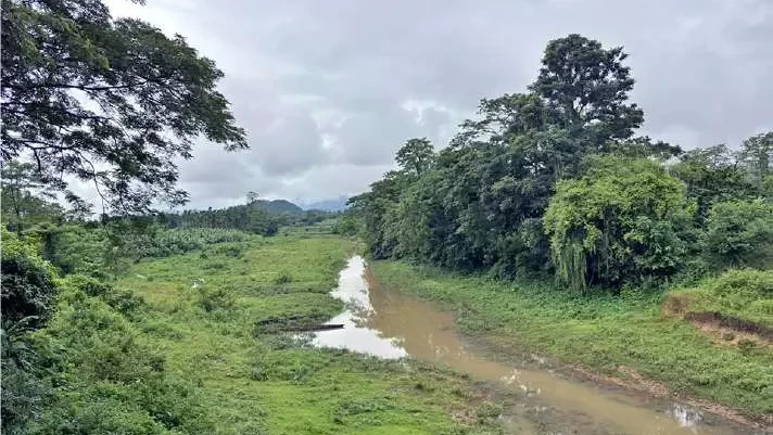 কুলশী নদী শুকোৱাত ৩০ হেজাৰ লোক আৰু বিলুপ্তপ্ৰায় ডলফিন সংকটত