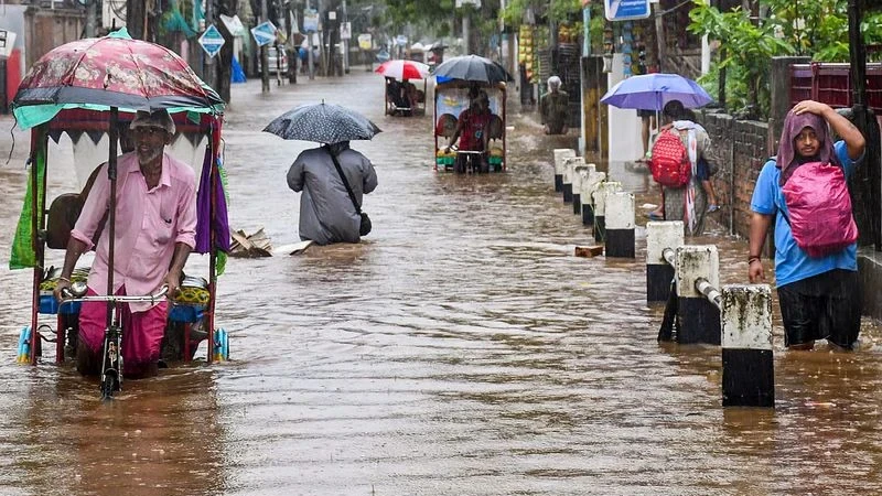 বানৰ কৱলত অসম: পৰিস্থিতিৰ ভয়াৱহ অৱনতি, মৃতকৰ সংখ্যা বৃদ্ধি; মুখ্যমন্ত্ৰীৰ ৪ লাখ টকাৰ সাহায্য ঘোষণা