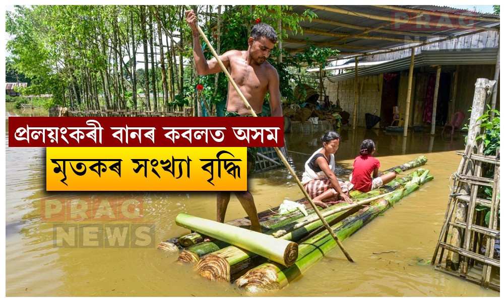 বানৰ কৱলত অসম: পৰিস্থিতিৰ ভয়াৱহ অৱনতি, মৃতকৰ সংখ্যা বৃদ্ধি; মুখ্যমন্ত্ৰীৰ ৪ লাখ টকাৰ সাহায্য ঘোষণা