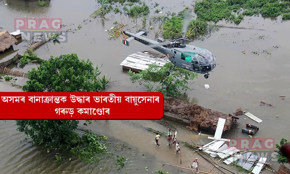 অসমত বানাক্ৰান্তক উদ্ধাৰ ভাৰতীয় বায়ুসেনাৰ গৰুড় কমাণ্ডোৰ
