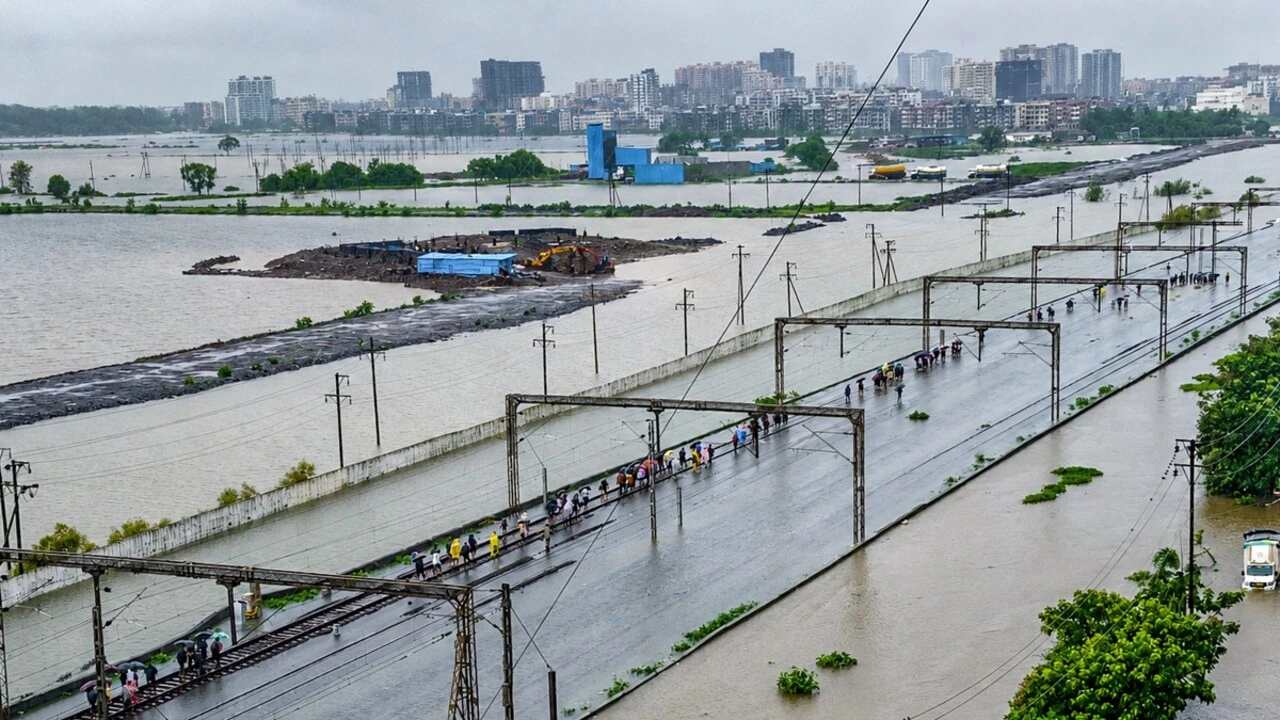 Monsoon Intensifies Across Western India, Gujarat Reels from Record Rainfall