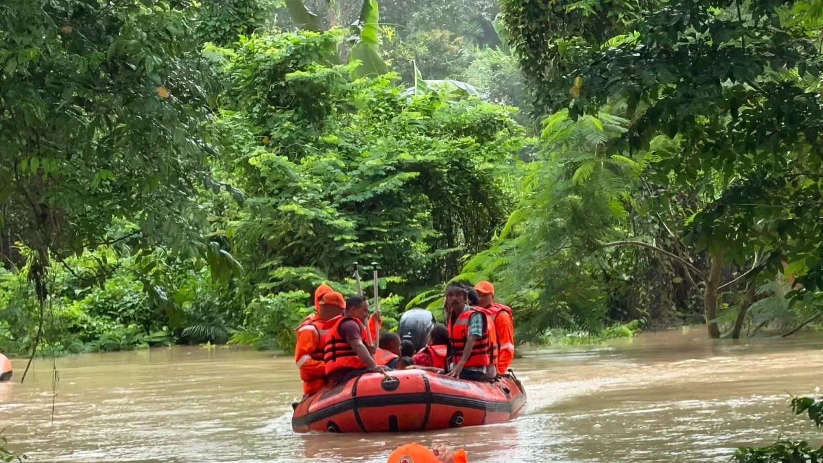 অসমত বানৰ সংহাৰ: মৃতকৰ সংখ্যা ৬২লৈ বৃদ্ধি, শিৱসাগৰ আৰু চৰাইদেউত এতিয়াও জটিল পৰিস্থিতি