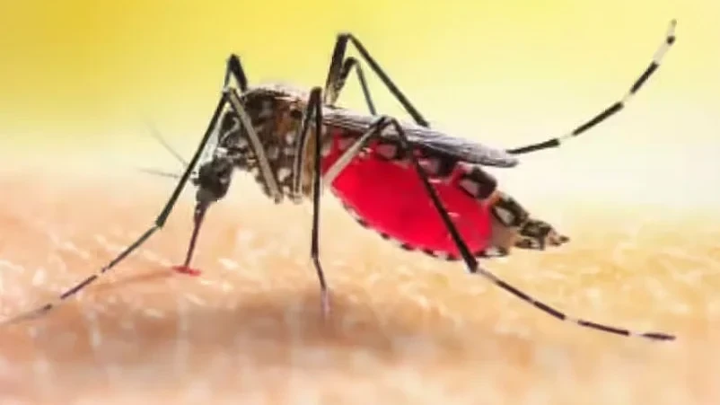 Guwahati Health Teams Launch Surveillance After Japanese Encephalitis Case Reported