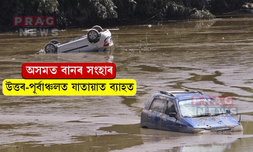 অসমত বানৰ সংহাৰ; উত্তৰ-পূৰ্বাঞ্চলত যাতায়াত ব্যাহত