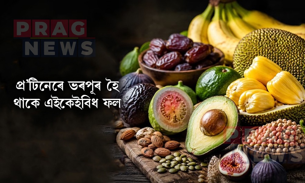 প্ৰ’টিনৰ অভাৱ দূৰ কৰে এইকেইবিধ ফলে; আজিয়েই সংযোগ কৰক খাদ্য তালিকাত