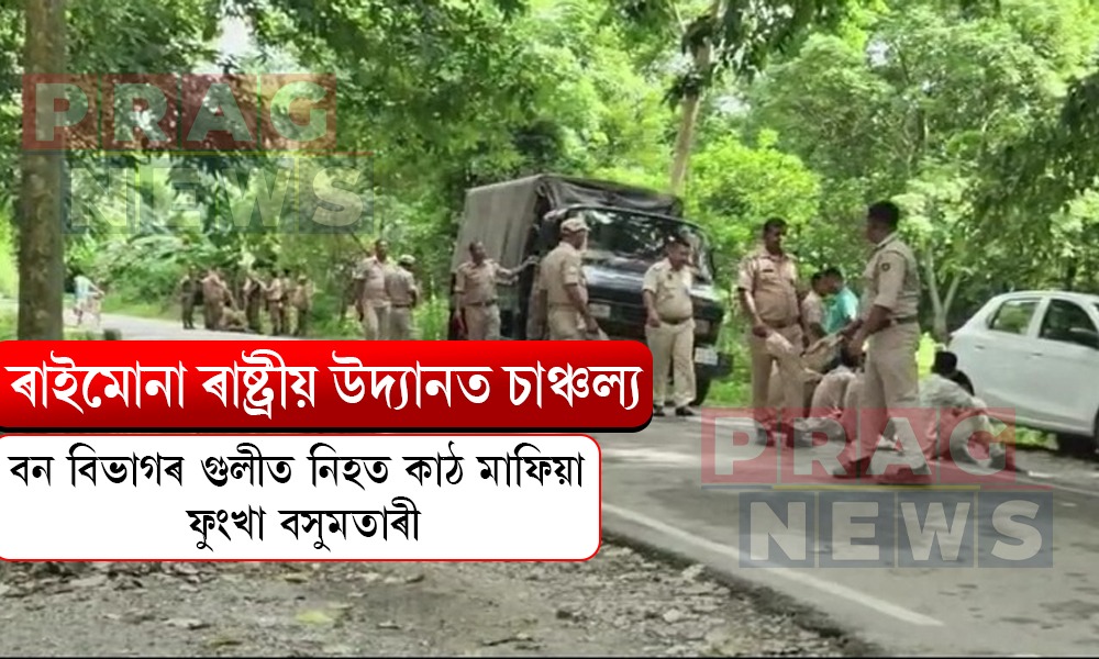 ৰাইমোনা ৰাষ্ট্ৰীয় উদ্যানত বন বিভাগৰ গুলীত নিহত কাঠ মাফিয়া ফুংখা বসুমতাৰী
