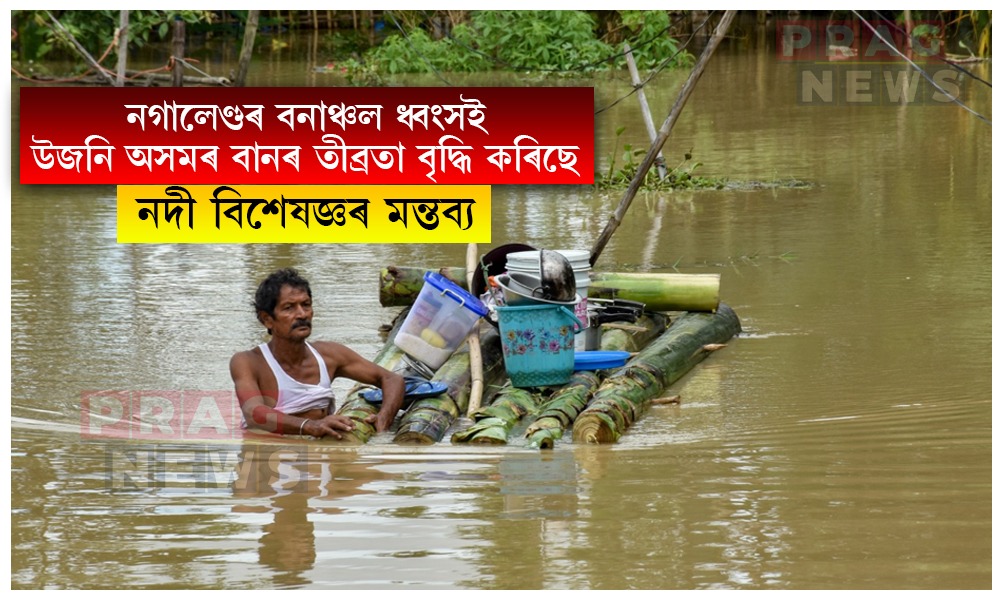 নগালেণ্ডৰ বনাঞ্চল ধ্বংস কৰা বাবেই উজনি অসমৰ বানে ল’লে সংহাৰী ৰূপ: নদী বিশেষজ্ঞ