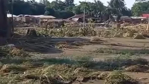 নাজিৰাত বানৰ তাণ্ডৱ: অবৈধ খননকাৰীৰ বিৰুদ্ধে ক্ষতিগ্ৰস্তৰ প্ৰতিশোধৰ হুংকাৰ
