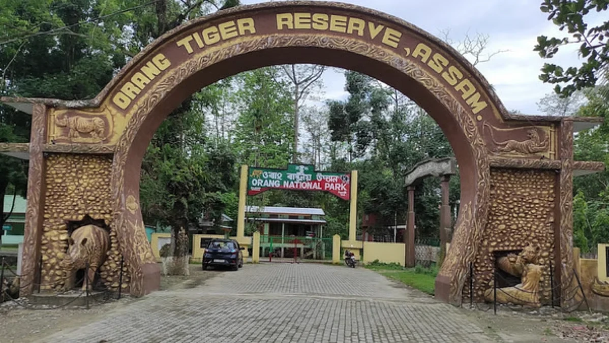 Three Assam Frontline Forest Staff Receive NTCA Excellence Awards for 2026