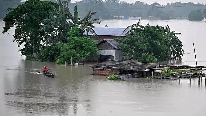 বানৰ পাছত মানসিক প্ৰত্যাহ্বান: শিৱসাগৰত জুৰুলা লোকৰ অকথিত যন্ত্ৰণা