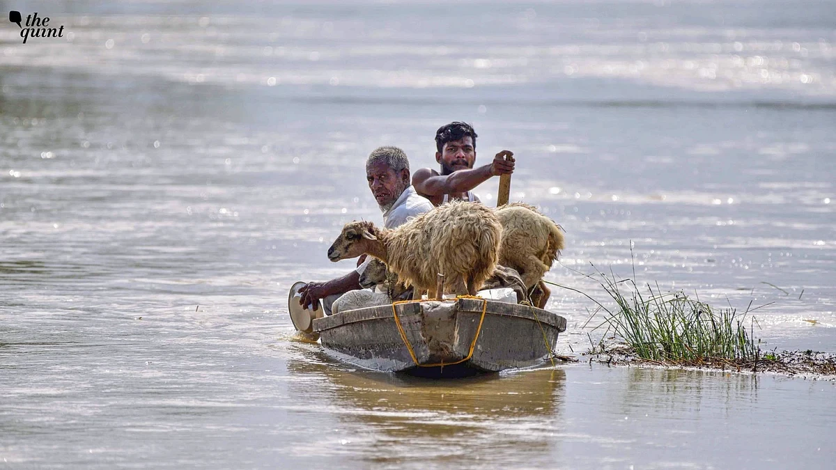 Assam Floods: Devastation Highlights Governance Gaps Amidst Relief Efforts