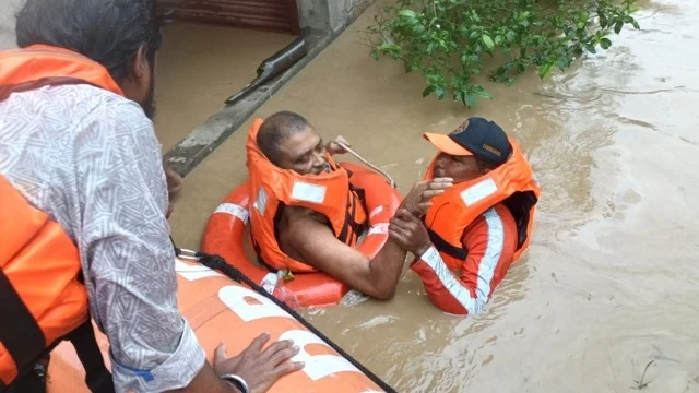অসমত বানৰ সংহাৰ: ৭৮ জনৰ মৃত‍্যু, বিশেষজ্ঞসকলে আঙুলিয়াইছে কেইবাটাও কাৰক