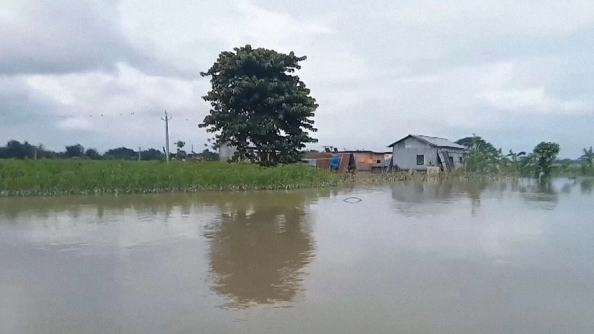 Nagaon District Sees Floodwaters Recede, Life Nudges Towards Normalcy