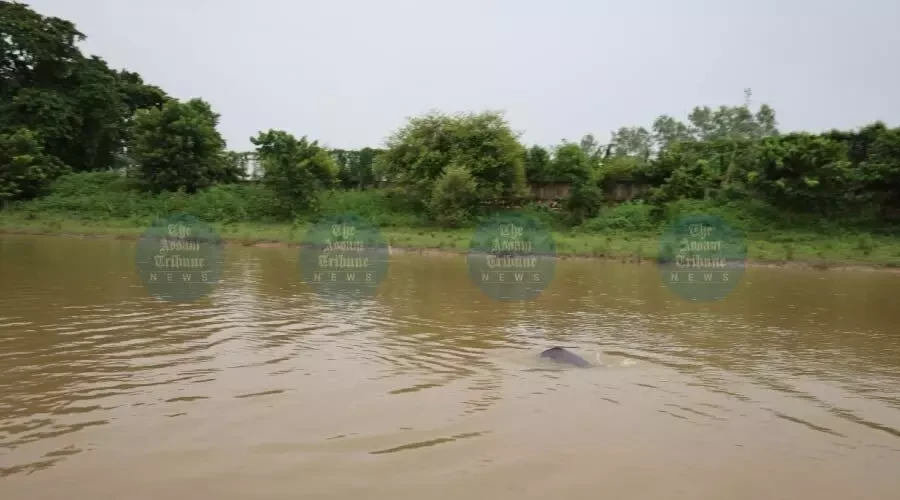 কুলছি জলবিদ্যুৎ প্ৰকল্পক লৈ নতুন বিৰোধিতা: পৰিৱেশ আৰু জীৱিকাৰ সংকটৰ আশংকা