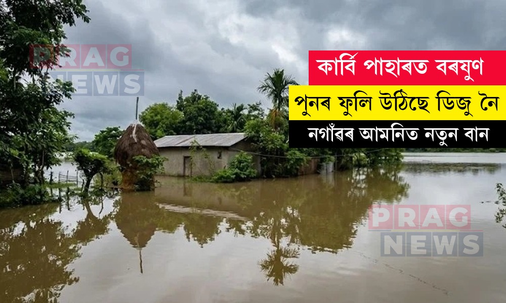 কাৰ্বি পাহাৰত ধাৰাসাৰ বৰষুণ; বানৰ কবলত নগাঁও আমনিৰ কেইবাটাও অঞ্চল