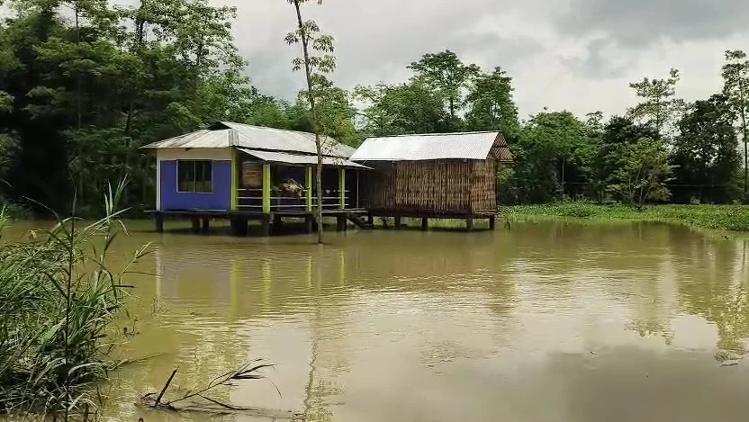 বানপানীৰ ক্ষতি জৰীপ আৰু সাহায্য বিতৰণ দ্ৰুত কৰিবলৈ অসম চৰকাৰৰ নতুন ম'বাইল এপ মুকলি