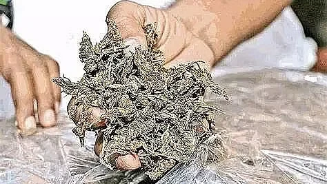 নিউ বঙাইগাঁও ৰে’ল ষ্টেচনত গাঞ্জা আৰু সোণ জব্দ: অবৈধ সৰবৰাহৰ বিৰুদ্ধে অভিযান