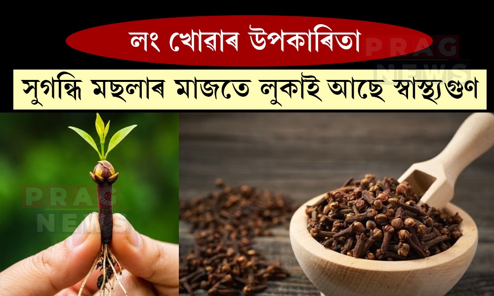 লং খায়নে? এই মছলাবিধৰ আছে নানা উপকাৰী গুণাগুণ