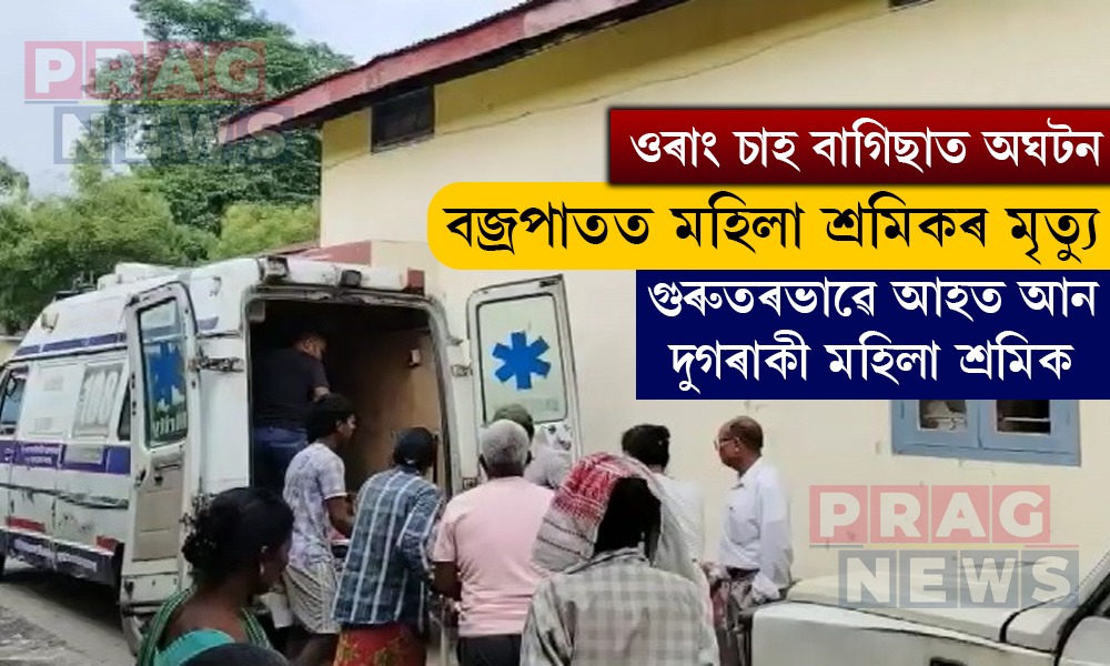 ওৰাঙত কৰুণ ঘটনা; বাগিছাত চাহপাত তুলি থাকোতে বজ্ৰপাতত মহিলা শ্রমিকৰ মৃত্যু, আহত ২