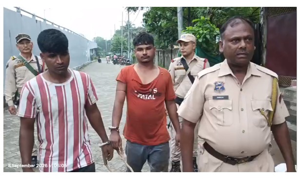ৰঙাপৰাত ১২টাকৈ গৰু জব্দ, দুজন লোকক আটক
