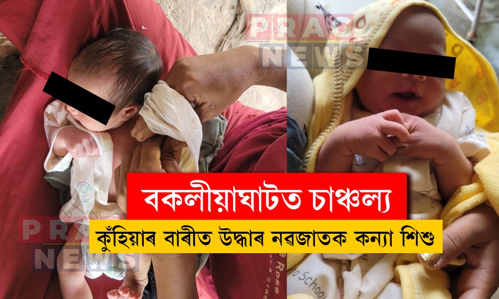 বকলীয়াঘাটত মানৱ সমাজক লজ্জানত কৰা ঘটনা; কুঁহিয়াৰ বাৰীত উদ্ধাৰ নৱজাতক কন্যা শিশু