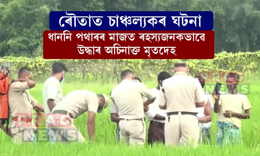 ৰৌতাত চাঞ্চল্যকৰ ঘটনা; ধাননি পথাৰৰ মাজত উদ্ধাৰ অচিনাক্ত মৃতদেহ