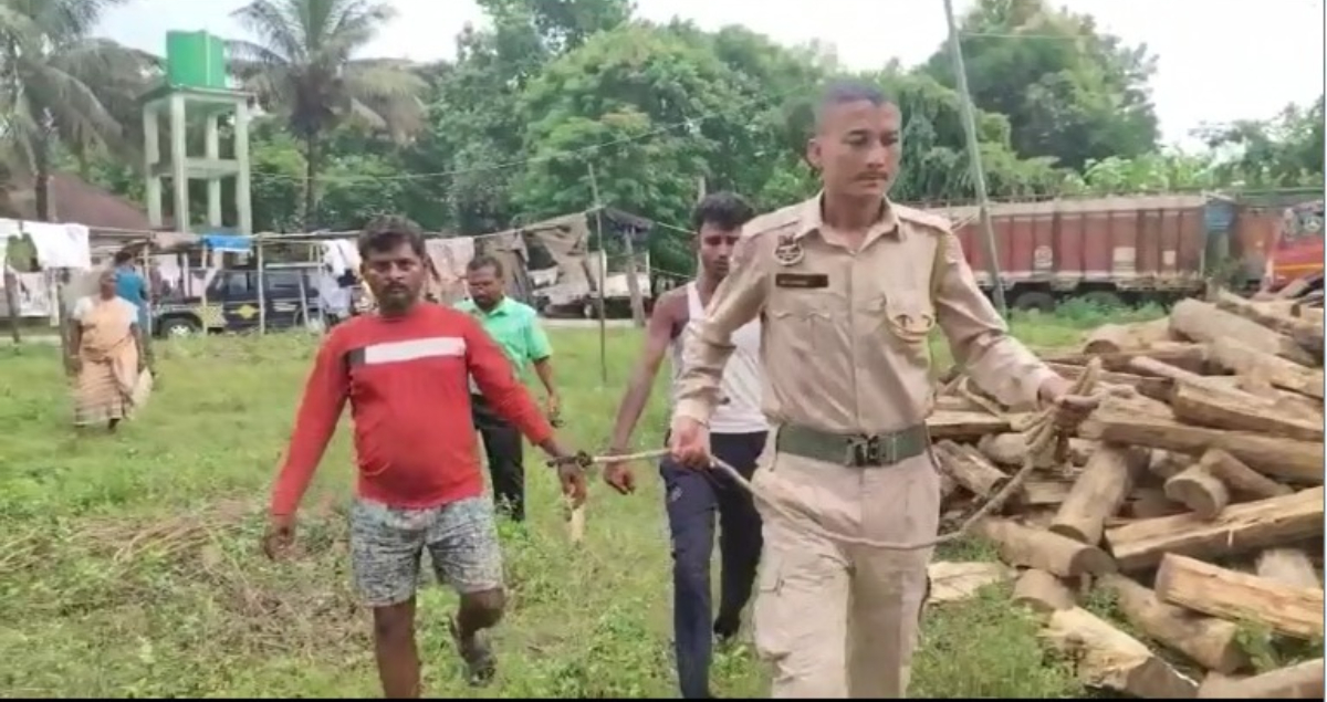 গোসাঁইগাঁৱৰ শ্ৰীৰামপুৰত বৃহৎ পৰিমাণৰ চেগুন কাঠ জব্দ; গ্ৰেপ্তাৰ দুজন