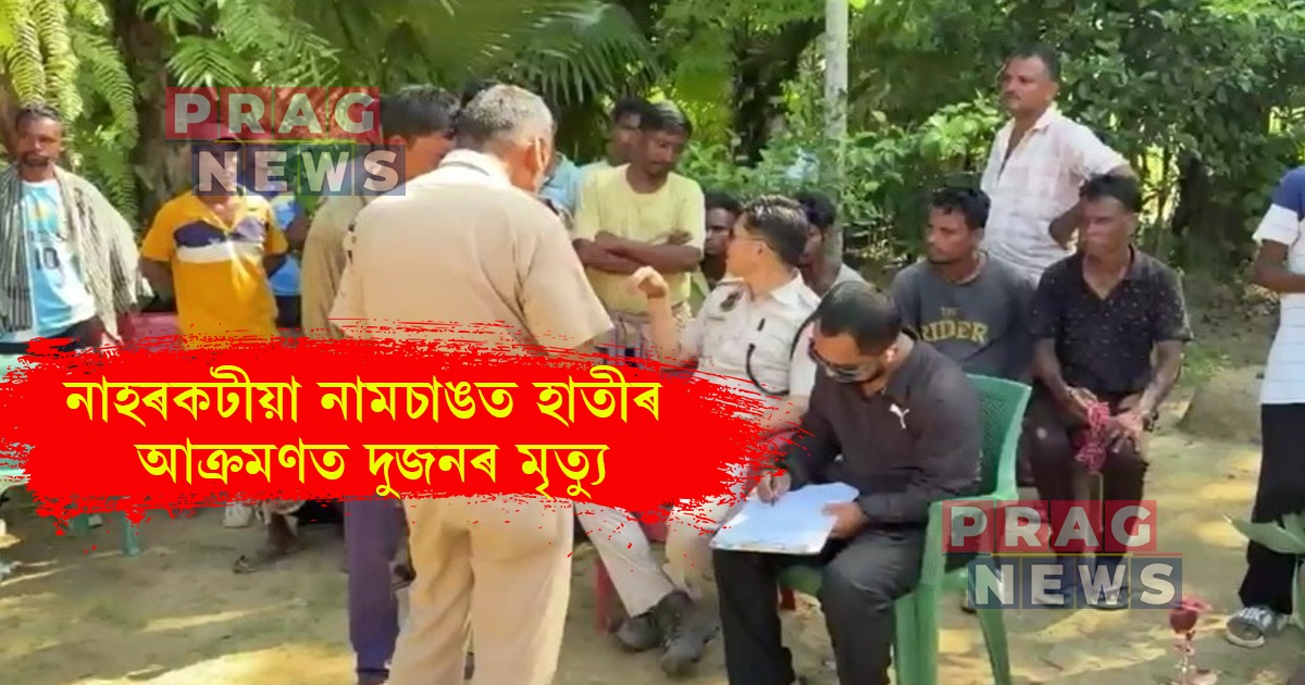 নাহৰকটীয়া নামচাঙত হাতীৰ আক্ৰমণত পিতৃ-কন্যাৰ কৰুণ মৃত্যু