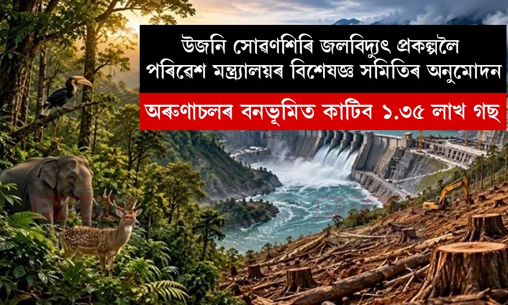 অৰুণাচলৰ বনভূমিত কাটিব ১.৩৫ লাখ গছ