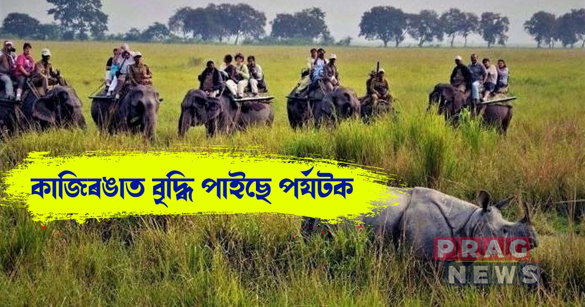 কাজিৰঙাত বৃদ্ধি পাইছে দেশী-বিদেশী পর্যটকৰ সংখ্যা
