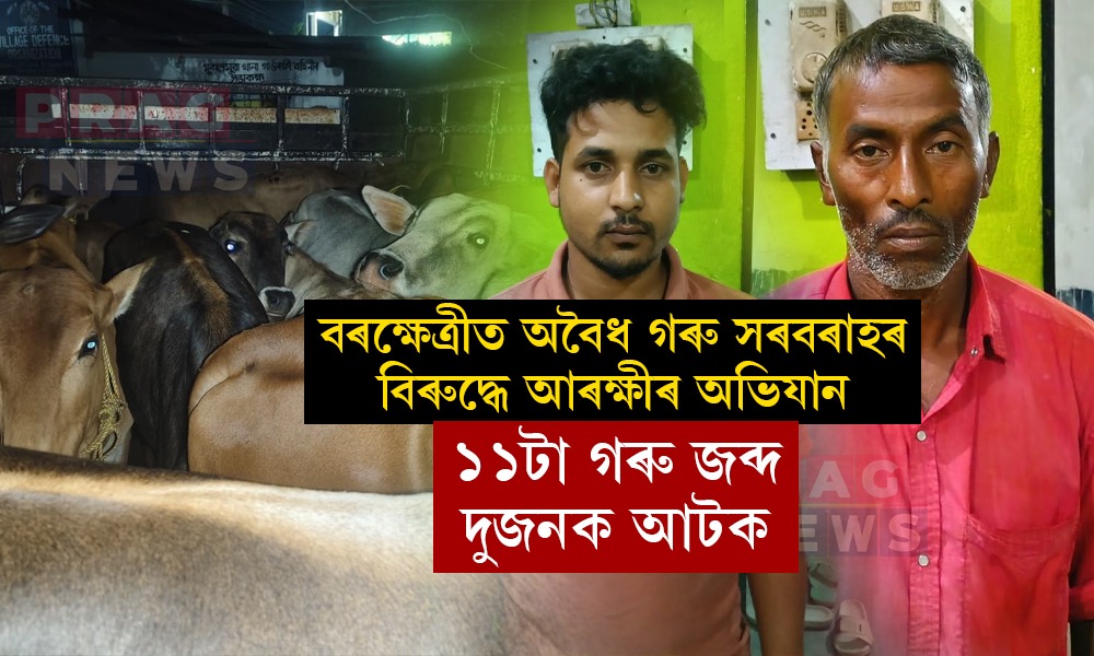 বৰক্ষেত্ৰীত আৰক্ষীৰ নাকা তালাচীত ১১টা গৰুসহ এখন বাহন জব্দ; গ্ৰেপ্তাৰ দুজন