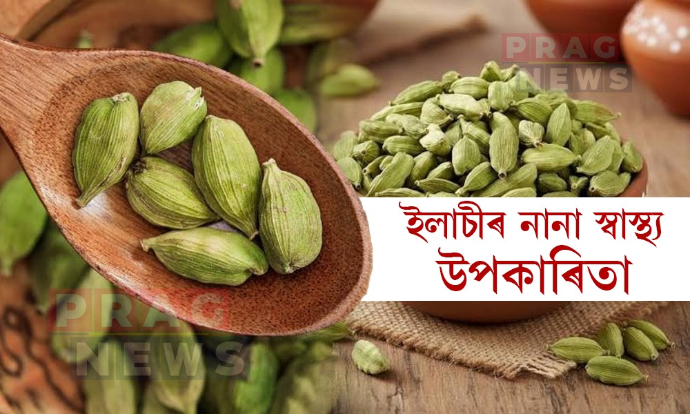 ইলাচী: সুগন্ধৰ লগতে স্বাস্থ্যৰো অমূল্য ভঁৰাল