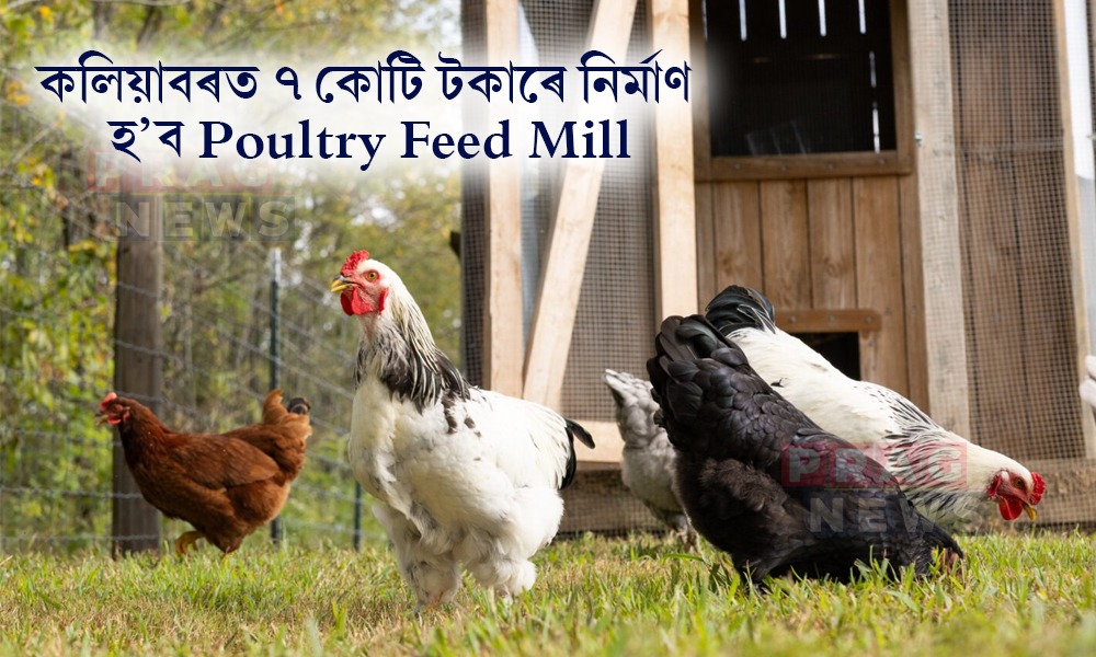 কলিয়াবৰত ৭ কোটি টকা ব্যয়েৰে নিৰ্মাণ হ’ব অত্যাধুনিক ‘Poultry Feed Mill’